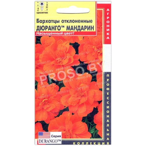 Бархатцы отклоненные Дюранго мандарин