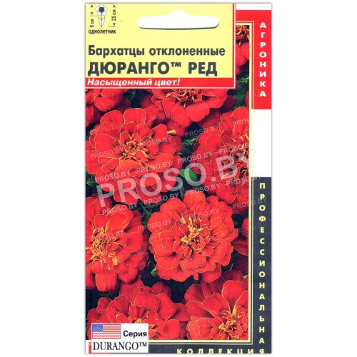 Бархатцы отклоненные Дюранго ред