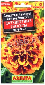 Бархатцы отклоненные Двухцветные гиганты махровые