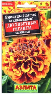 Бархатцы отклоненные Двухцветные гиганты махровые