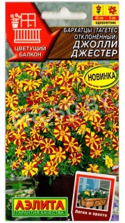 Бархатцы отклоненные Джолли Джестер