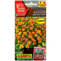 Бархатцы отклоненные Джолли Джестер