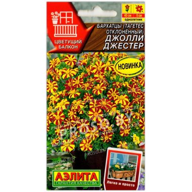 Бархатцы отклоненные Джолли Джестер