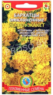 Бархатцы отклоненные Йеллоу жакет