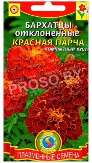 Бархатцы отклоненные Красная парча