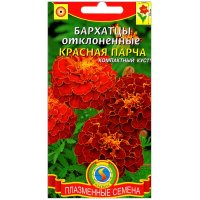 Бархатцы отклоненные Красная парча