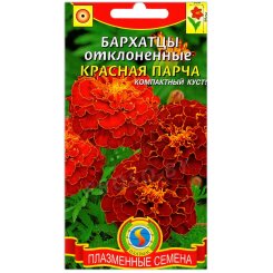 Бархатцы отклоненные Красная парча