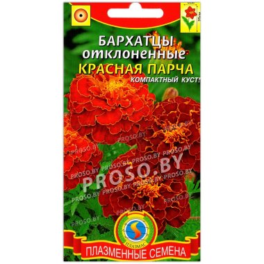 Бархатцы отклоненные Красная парча Бархатцы отклоненные Красная парча