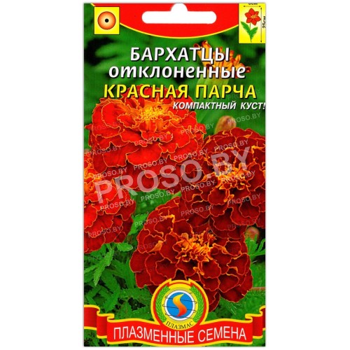 Бархатцы отклоненные Красная парча
