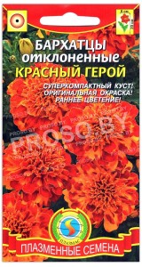 Бархатцы отклоненные Красный герой