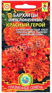 Бархатцы отклоненные Красный герой