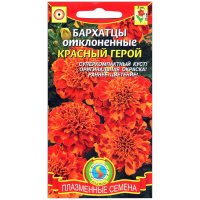 Бархатцы отклоненные Красный герой