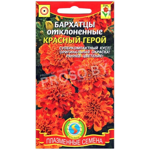 Бархатцы отклоненные Красный герой