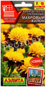 Бархатцы отклоненные Махровый кулон