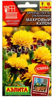 Бархатцы отклоненные Махровый кулон