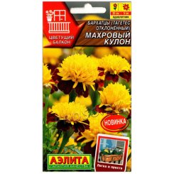 Бархатцы отклоненные Махровый кулон