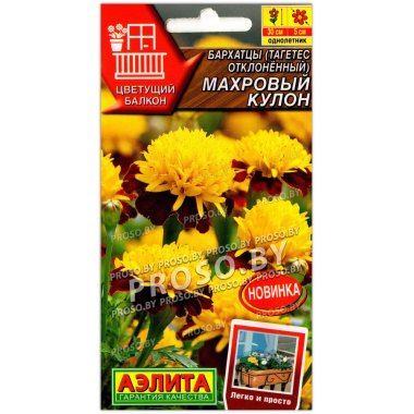 Бархатцы отклоненные Махровый кулон