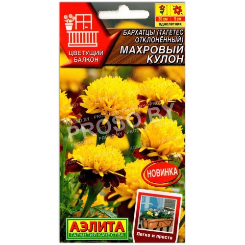 Бархатцы отклоненные Махровый кулон