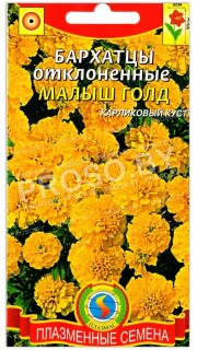 Бархатцы отклоненные Малыш голд