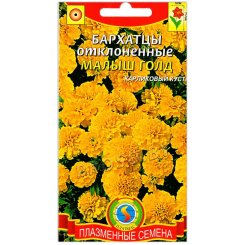 Бархатцы отклоненные Малыш голд