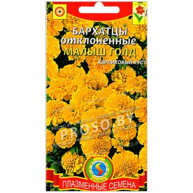 Бархатцы отклоненные Малыш голд