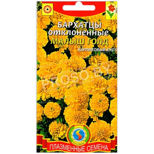 Бархатцы отклоненные Малыш голд