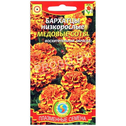 Бархатцы отклоненные Медовые соты-1
