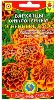 Бархатцы отклоненные Огненный герой