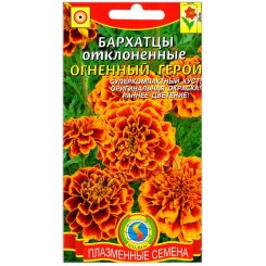 Бархатцы отклоненные Огненный герой