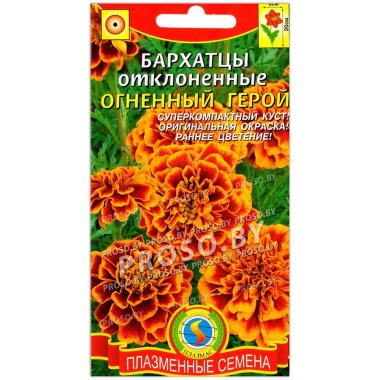 Бархатцы отклоненные Огненный герой