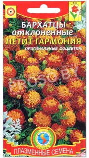 Бархатцы отклоненные Петит гармония