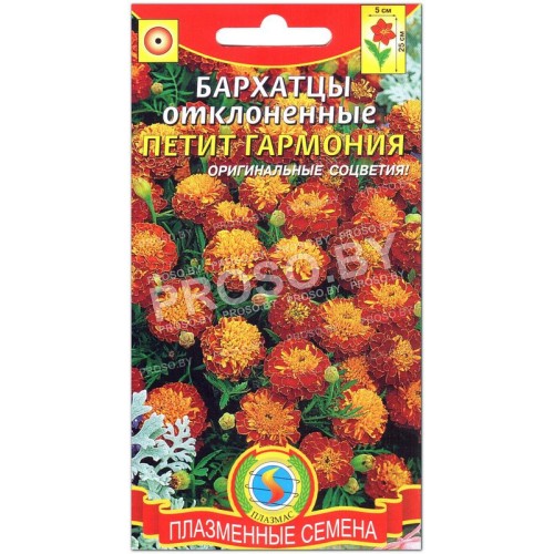Бархатцы отклоненные Петит гармония