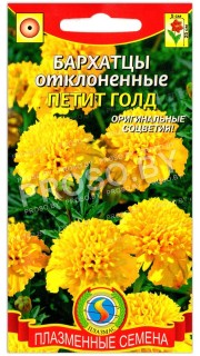 Бархатцы отклоненные Петит голд