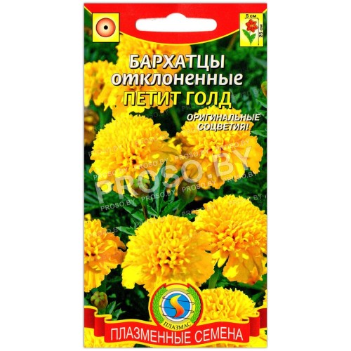 Бархатцы отклоненные Петит голд
