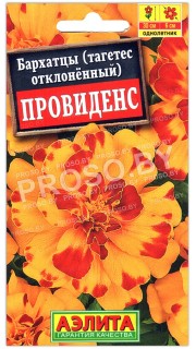 Бархатцы отклоненные Провиденс