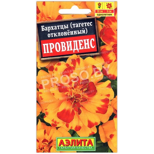 Бархатцы отклоненные Провиденс