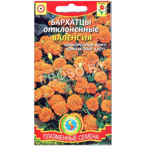 Бархатцы отклоненные Валенсия-1