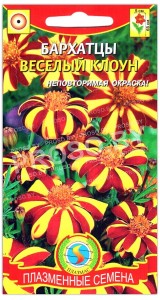 Бархатцы отклоненные Веселый клоун