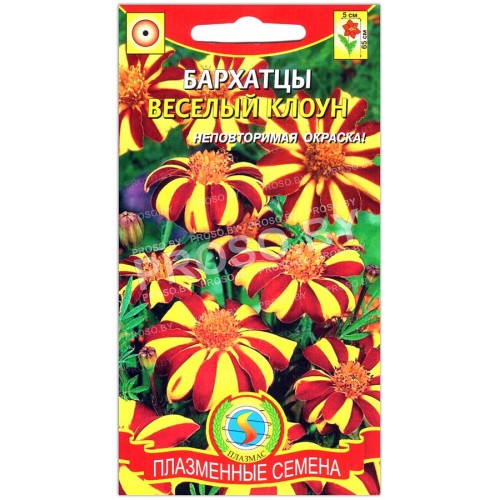 Бархатцы отклоненные Веселый клоун