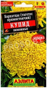 Бархатцы прямостоячие Купид лимонные