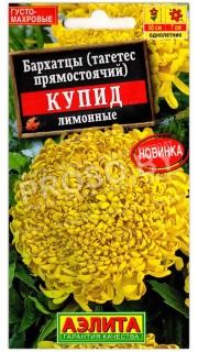 Бархатцы прямостоячие Купид лимонные