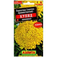 Бархатцы прямостоячие Купид лимонные
