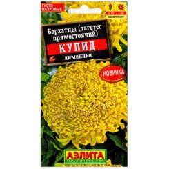 Бархатцы прямостоячие Купид лимонные