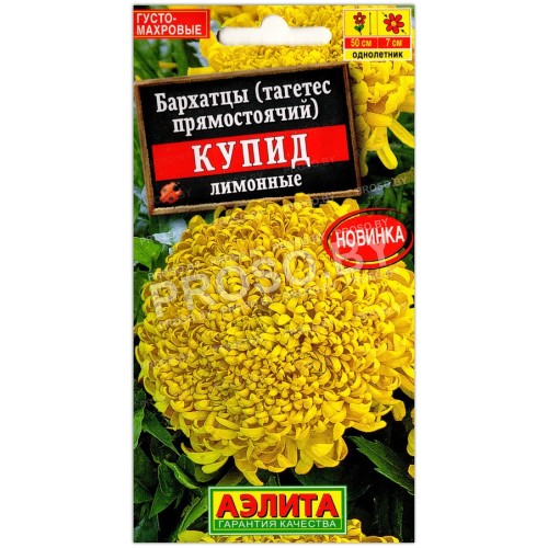 Бархатцы прямостоячие Купид лимонные