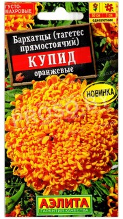 Бархатцы прямостоячие Купид оранжевые