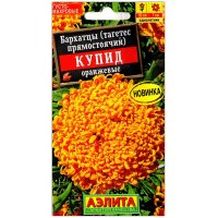 Бархатцы прямостоячие Купид оранжевые