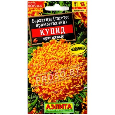 Бархатцы прямостоячие Купид оранжевые