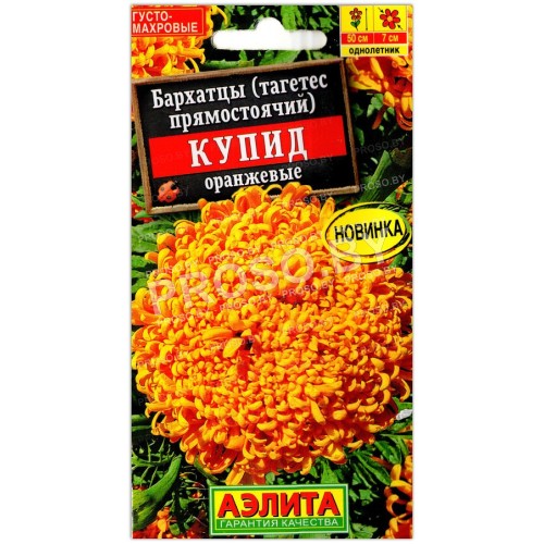 Бархатцы прямостоячие Купид оранжевые