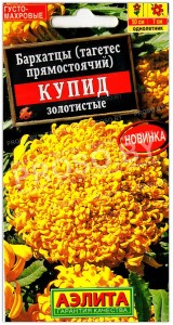 Бархатцы прямостоячие Купид золотистые