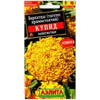 Бархатцы прямостоячие Купид золотистые